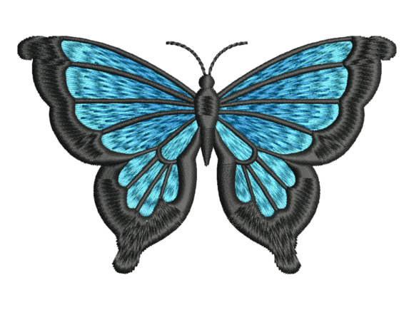 Black Blue Butterfly Embroidery Review