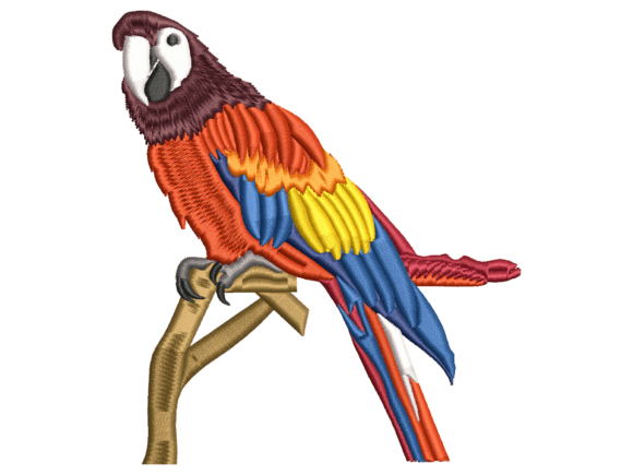 Scarlet Macaw Bird Embroidery: A Craft Fair Review